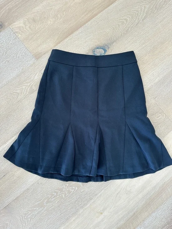 Black Pleated A-line Women's Skirt - Picture 1 of 1